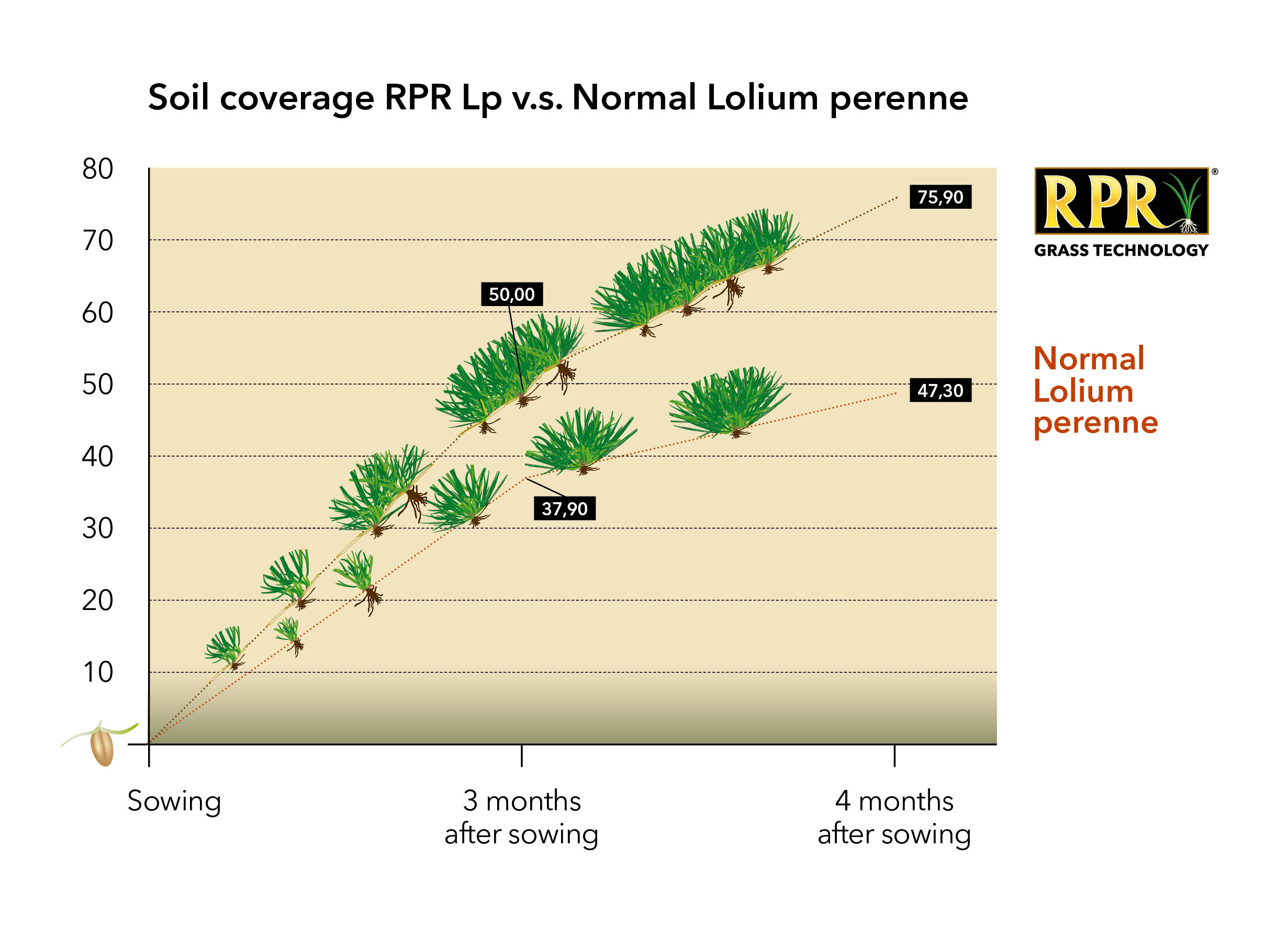Säen Sie den Rasen nach, um eine neue, starke Rasenfläche mit den gewünschten Gräsern zu erhalten..jpg